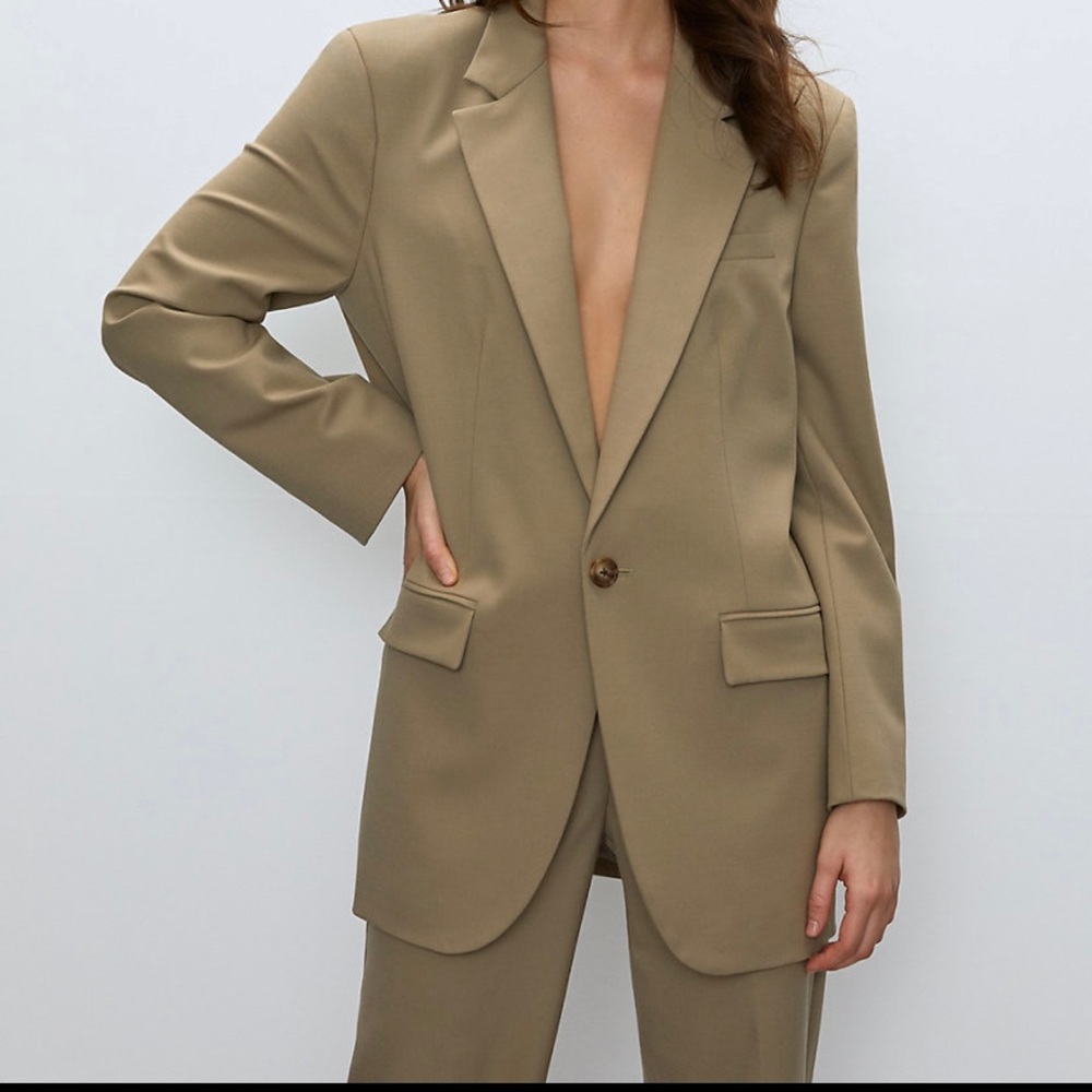 Aritzia Babaton Oversized Blazer